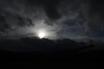 DSC_5749 (Large).JPG